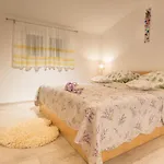 Apartment Laguna
